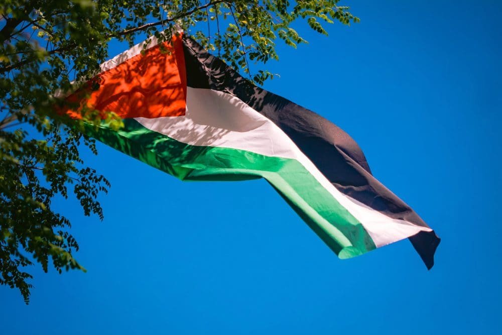A palestinian flag flying in the sky above trees.